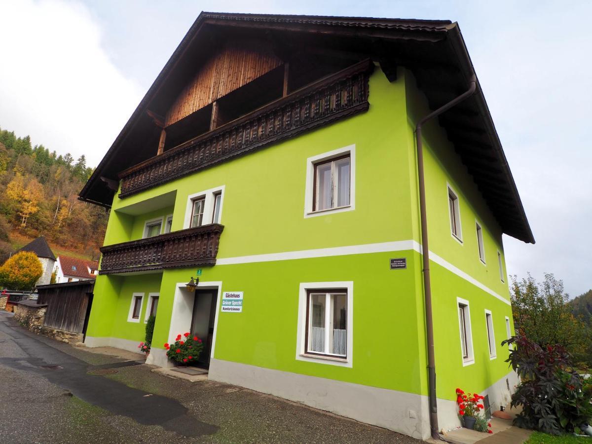 Gasthof Zum Gruenen Specht Oberzeiring Εξωτερικό φωτογραφία